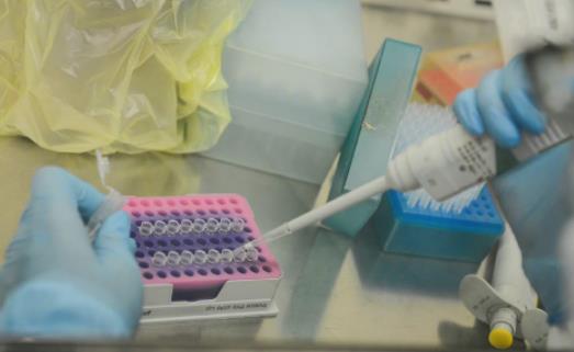 核酸檢測報告遲遲不出是不是陽性 核酸檢測結果一直沒出來是否代表沒事