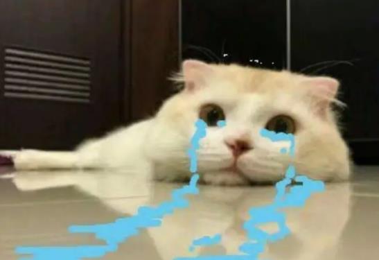 Ͽ޵糿[Ҫ޵Ãɂȫôk