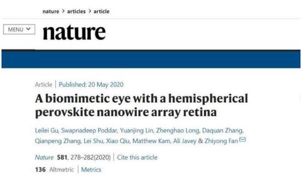 世界首個3D人工眼球問世 預(yù)計(jì)五年內(nèi)人造3D眼球讓數(shù)百萬盲人重見光明