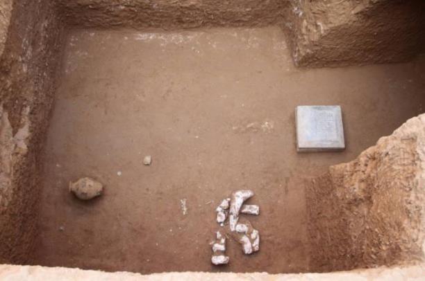 咸陽發現規模最大最完整隋代家族墓園 由方形圍溝和7座墓葬組成