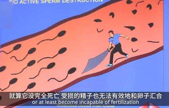 世界首款男性避孕針通過臨床實驗:一針管13年,成功率97.3%!