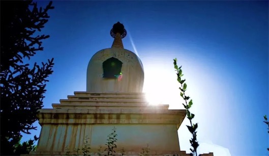 �����������������_ �������ֹؕ��