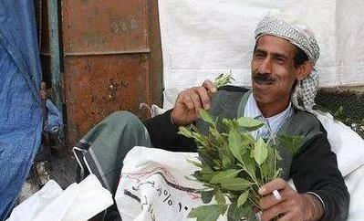 全世界唯一“吃樹葉”的國家,把國家吃垮 巧茶稱為“東非罌粟”