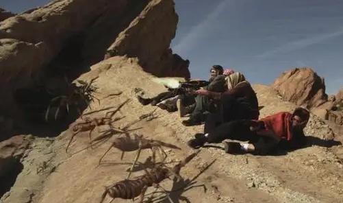 世界上最大的食人蛛,駱駝蜘蛛可吞下3倍自重的獵物