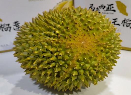 十大高檔水果排行榜,黑西瓜產量很低極其珍貴、白草莓口感香甜