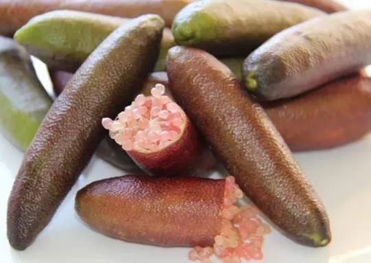 十大高檔水果排行榜,黑西瓜產量很低極其珍貴、白草莓口感香甜