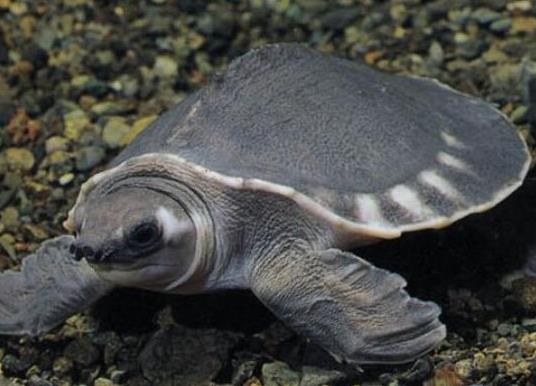 ʮ����ֵ���B�Ğ��������������t�����ǵ�ˮ������A�����ֲ��V��