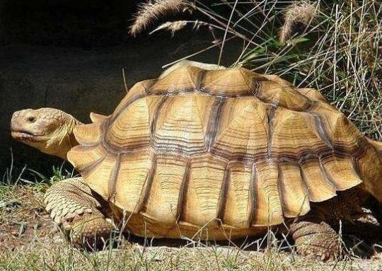 ʮ����ֵ���B�Ğ��������������t�����ǵ�ˮ������A�����ֲ��V��