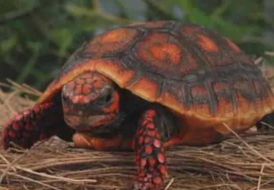 ʮ����ֵ���B�Ğ��������������t�����ǵ�ˮ������A�����ֲ��V��