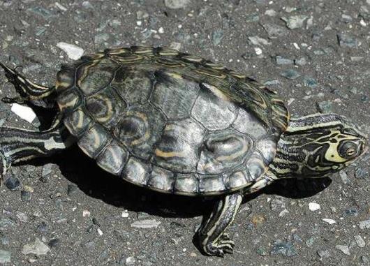 ʮ����ֵ���B�Ğ��������������t�����ǵ�ˮ������A�����ֲ��V��