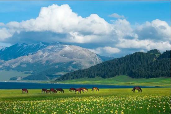 2024�������½�����