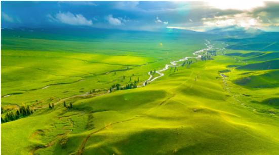 2024�������½�����