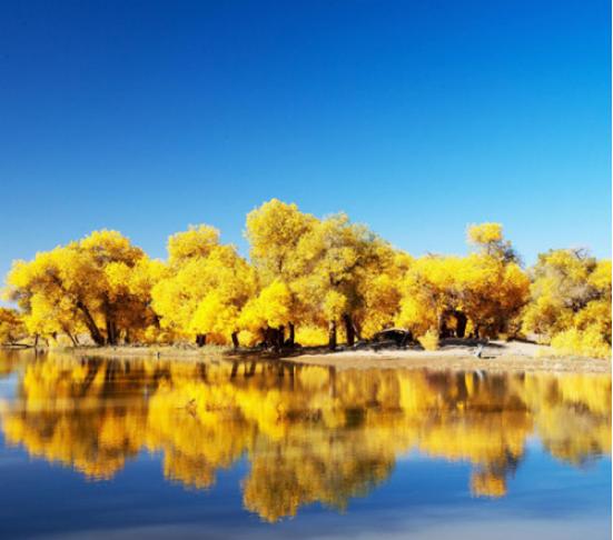 2024�������½�����