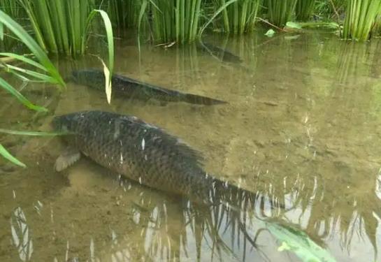 1655256221428886.jpg 360截圖20220615091539669.jpg