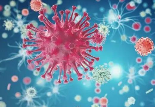 新冠損傷味覺嗅覺一個月內可恢復嗎?咳嗽不停是不是新冠感染在加重 新冠損傷味覺嗅覺一個月內可恢復嗎?咳嗽不停是不是新冠感染在加重