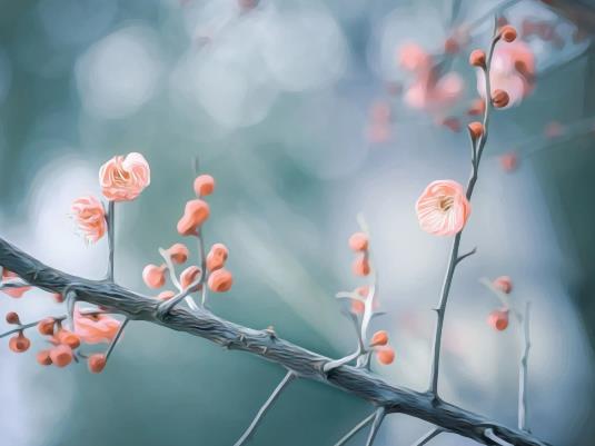 2023閏二月為什么送留娘糕?2023年閏二月什么時候買鞋 2023閏二月為什么送留娘糕?2023年閏二月什么時候買鞋