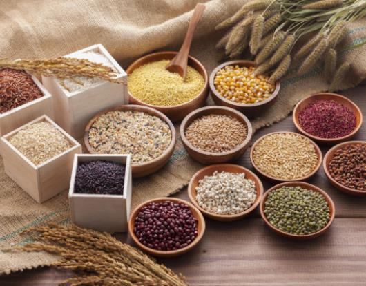 土地承包給別人種糧補貼給誰?糧食補貼是一年發一次還是兩次 土地承包給別人種糧補貼給誰?糧食補貼是一年發一次還是兩次