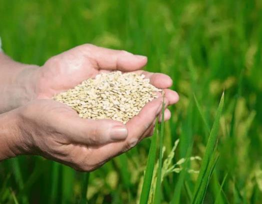 амZʳa(b)N᣿Zʳa(b)Nȫ(gu)ضI(lng)