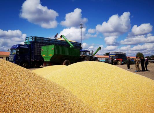 Zʳa(b)N](mi)Ă(g)TNZa(b)Nךwl(shu)