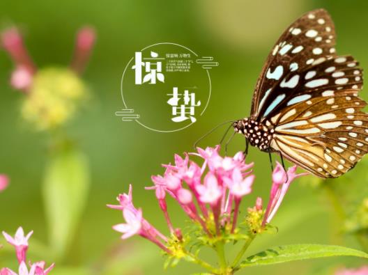 驚蟄怎么樣打小人去晦氣?驚蟄打小人對(duì)自己有害嗎 驚蟄怎么樣打小人去晦氣?驚蟄打小人對(duì)自己有害嗎