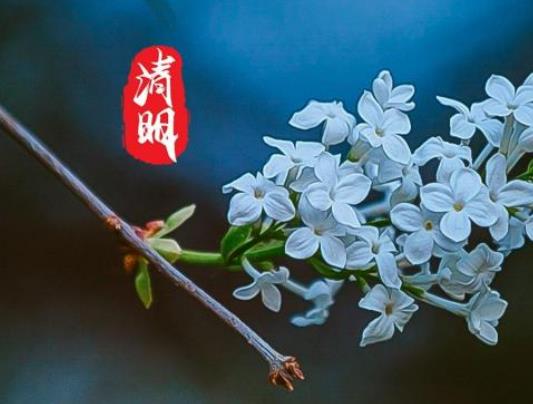 閏二月清明上墳填土好不好?清明在外地給父母掃不了墓怎么辦 閏二月清明上墳填土好不好?清明在外地給父母掃不了墓怎么辦