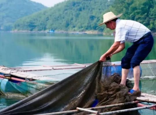 2023禁漁期有皮皮蝦賣嗎?2023禁漁期水庫可以釣魚嗎 2023禁漁期有皮皮蝦賣嗎?2023禁漁期水庫可以釣魚嗎