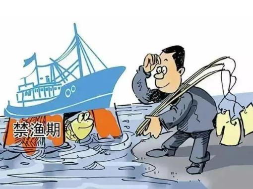 禁漁期水庫釣魚違法嗎?禁漁期自然水域全部都不能釣魚嗎 禁漁期水庫釣魚違法嗎?禁漁期自然水域全部都不能釣魚嗎