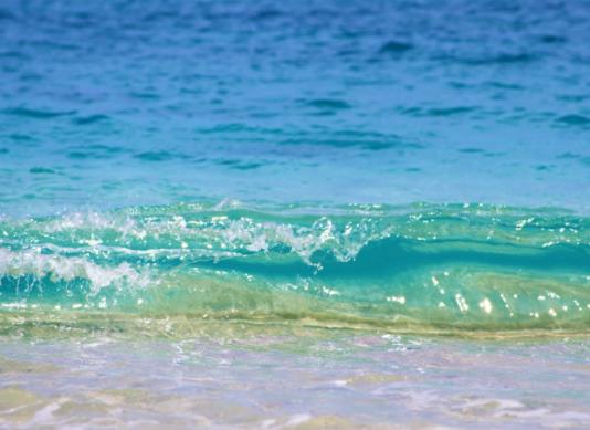 禁漁期的魚從哪來?禁漁期想吃海鮮怎么辦 禁漁期的魚從哪來?禁漁期想吃海鮮怎么辦