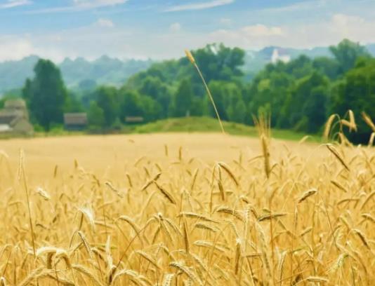 五一期間穿什么衣服好?五一穿什么衣服合適 五一期間穿什么衣服好?五一穿什么衣服合適