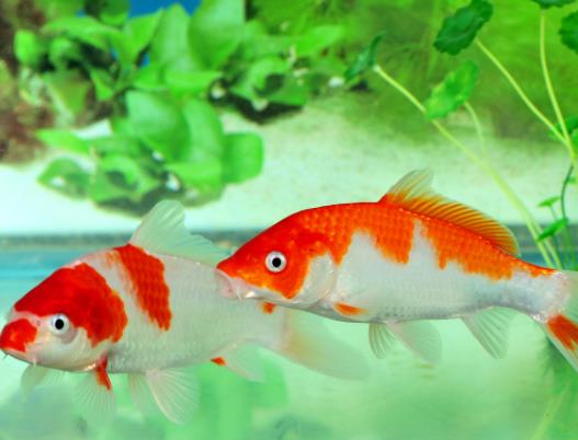 �Lˮ�~�Bʲô�~��ã��Lˮ�~���˕���ؔ��