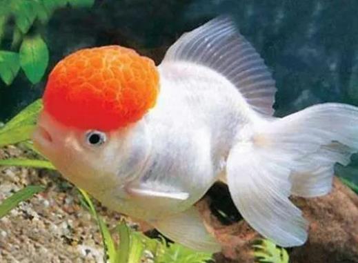 Lˮ~B(yng)חlؔLˮ~Aʾʲô