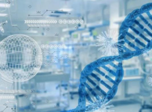 基因檢測是孕前做還是懷孕做?基因檢測是檢查什么 基因檢測是孕前做還是懷孕做?基因檢測是檢查什么