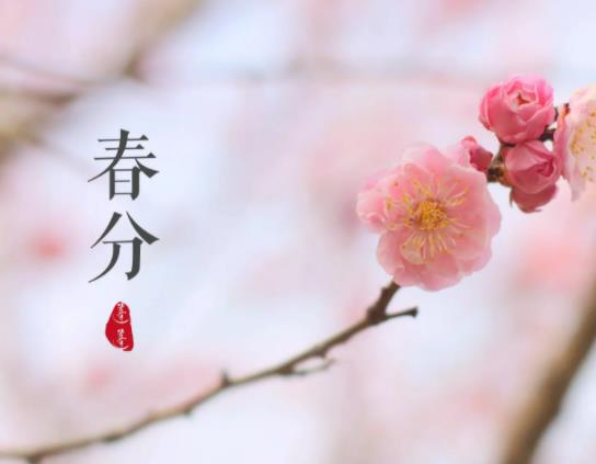 春分雞蛋怎么立起來?春分豎蛋的意義是什么 春分雞蛋怎么立起來?春分豎蛋的意義是什么