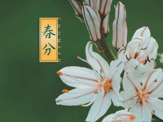 春分雞蛋怎么立起來?春分豎蛋的意義是什么 春分雞蛋怎么立起來?春分豎蛋的意義是什么