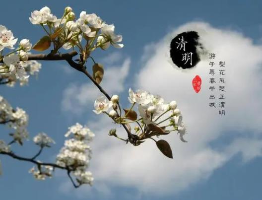 清明節不下雨有啥預兆?清明節為什么經常下雨 清明節不下雨有啥預兆?清明節為什么經常下雨