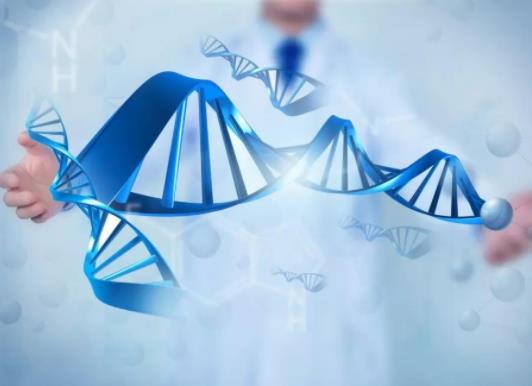 免費孕前檢查必須在戶口所在地嗎?基因有問題做三代試管有用嗎 免費孕前檢查必須在戶口所在地嗎?基因有問題做三代試管有用嗎