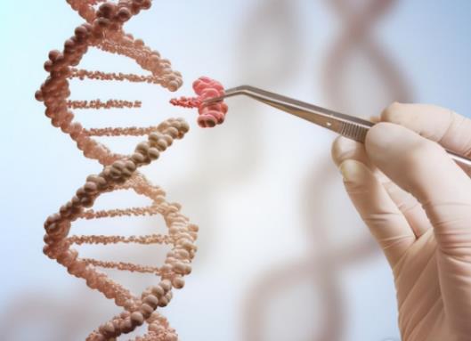 我想做試管生一個男孩要多少錢?現在做試管可以選擇男女嗎 我想做試管生一個男孩要多少錢?現在做試管可以選擇男女嗎