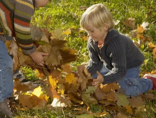 哪里有可以做試管男孩的醫院?可以選男女的試管醫院有沒有 哪里有可以做試管男孩的醫院?可以選男女的試管醫院有沒有