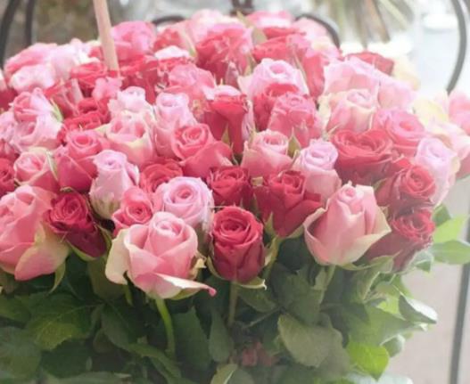 喵街花園的花是什么牌子?喵街花園的花種好不兌換可以存放多久 喵街花園的花是什么牌子?喵街花園的花種好不兌換可以存放多久