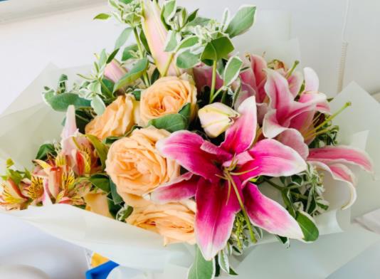 喵街種的花多久可以領到?喵街免費領花是真的還是假的 喵街種的花多久可以領到?喵街免費領花是真的還是假的