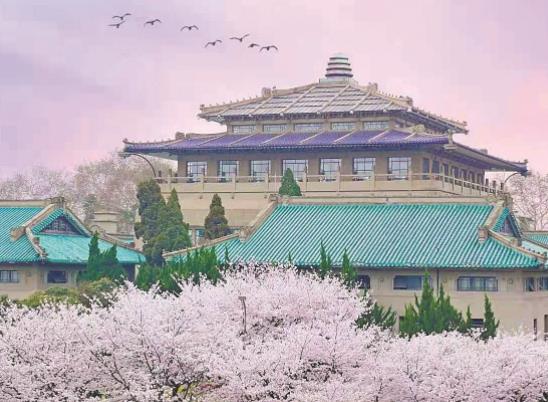 武漢大學(xué)五一進(jìn)入怎么預(yù)約?武漢櫻花什么時(shí)候就凋謝了 武漢大學(xué)五一進(jìn)入怎么預(yù)約?武漢櫻花什么時(shí)候就凋謝了