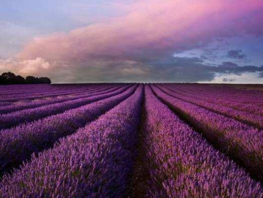 世界十大旅游必去的景點,九寨溝好風光、泰國白龍寺大氣恢宏 世界十大旅游必去的景點,九寨溝好風光、泰國白龍寺大氣恢宏