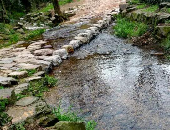 杭州暑假最佳避暑旅游地排行榜,西溪國家濕地公園與西湖并稱杭州“三西” 杭州暑假最佳避暑旅游地排行榜,西溪國家濕地公園與西湖并稱杭州“三西”