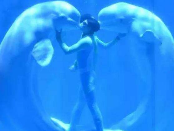 �����I���ξ��c�����������I�������а���vʷ�������I�O���^�܉��^