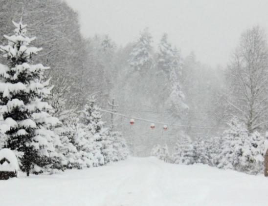 �����I���ξ��c�����������I�������а���vʷ�������I�O���^�܉��^