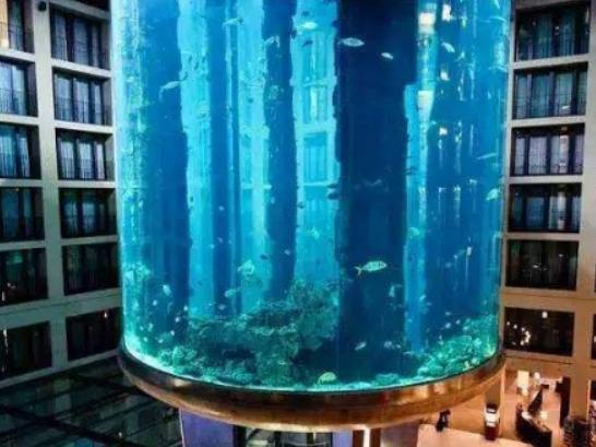 ȫ��ʮ�����^�����������m��Georgia Aquarium���Z�����۷ǳ�����