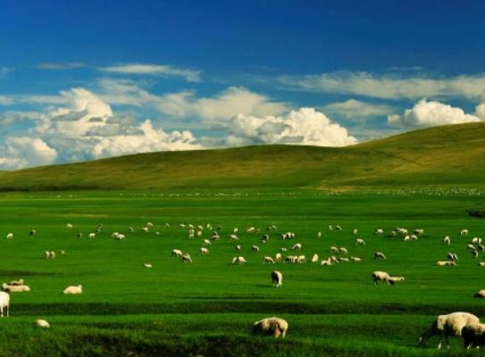 ���ɹ�ʮ���ȥ���c���ɳ��ɳĮ���������ˡ���������ˮ�峺Ҋ��