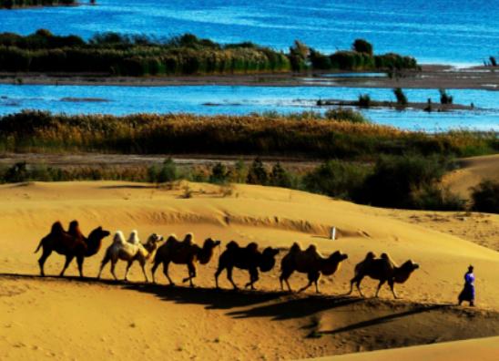 ���ɹ�ʮ���ȥ���c���ɳ��ɳĮ���������ˡ���������ˮ�峺Ҋ��