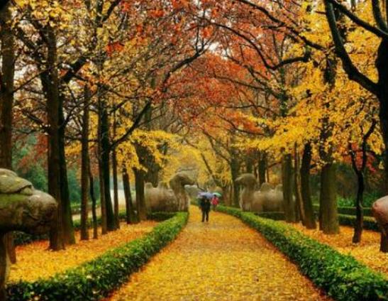 �Ͼ���ȥʮ��vʷ���c(di��n)����ɽ��@��ݰ�������Т�꽨����ˇ�߳�