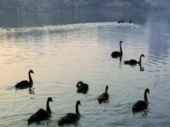 �B�T�m����H��ĵط��������޹��@�����������F·�Ļ����@�������\